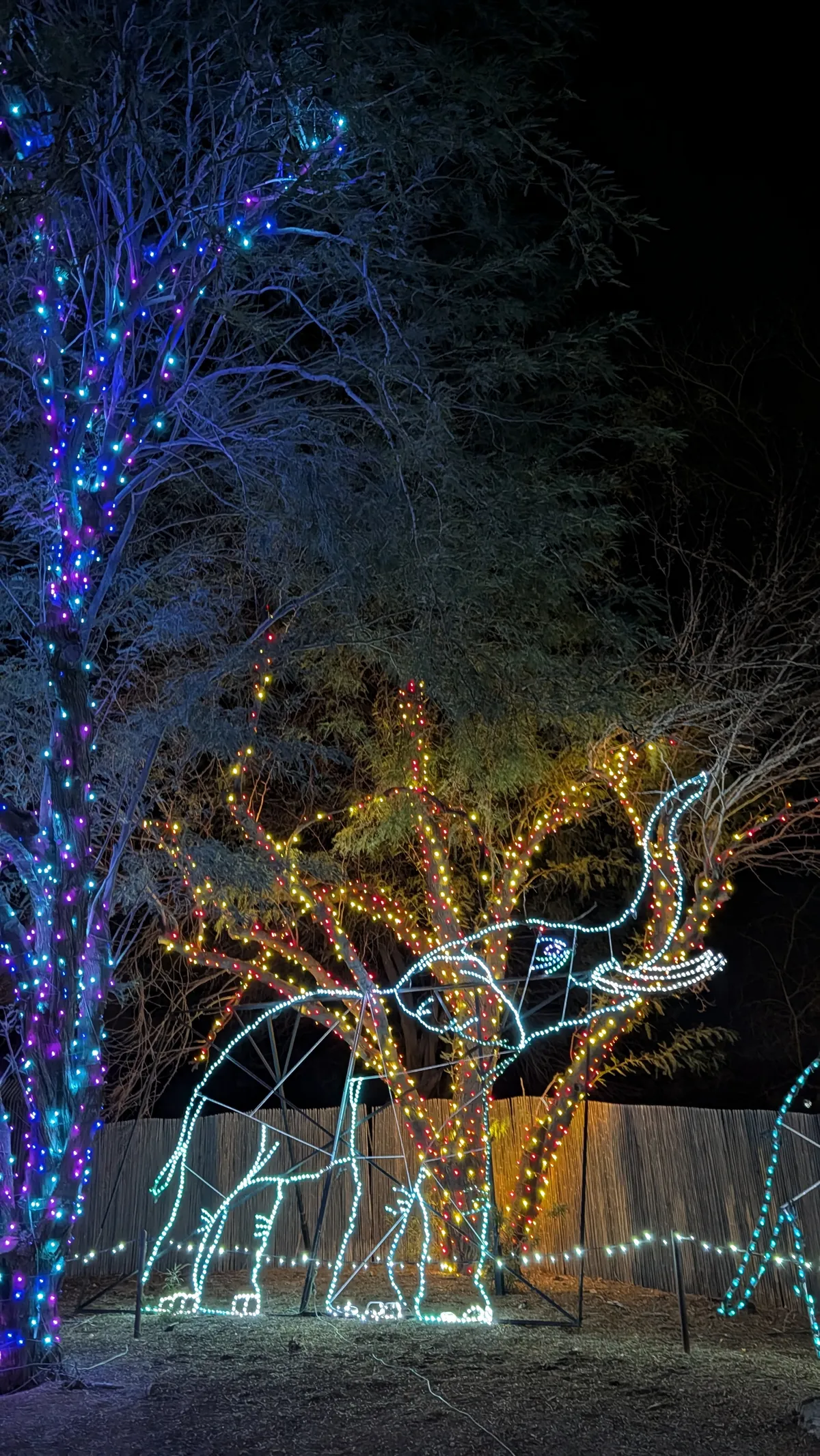 PXL_20260109_050506740