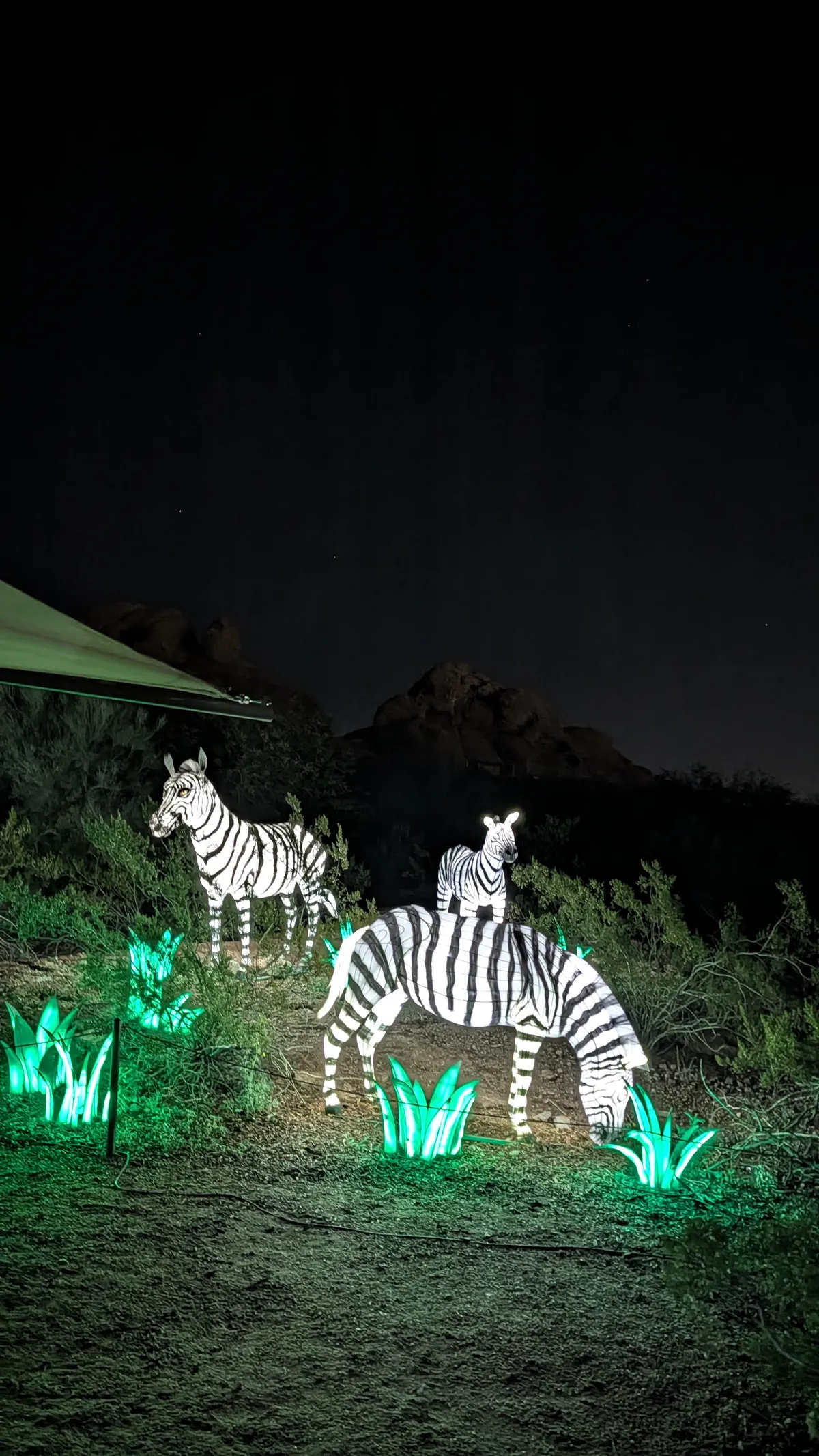 PXL_20260109_050826010