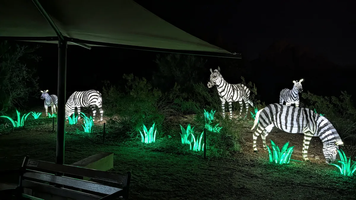 PXL_20260109_050829142