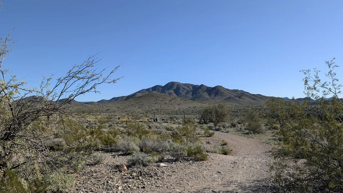 PXL_20260125_170849725