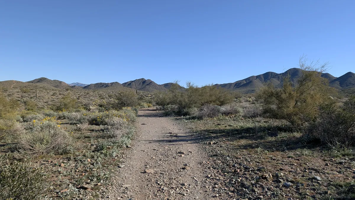 PXL_20260125_171354298