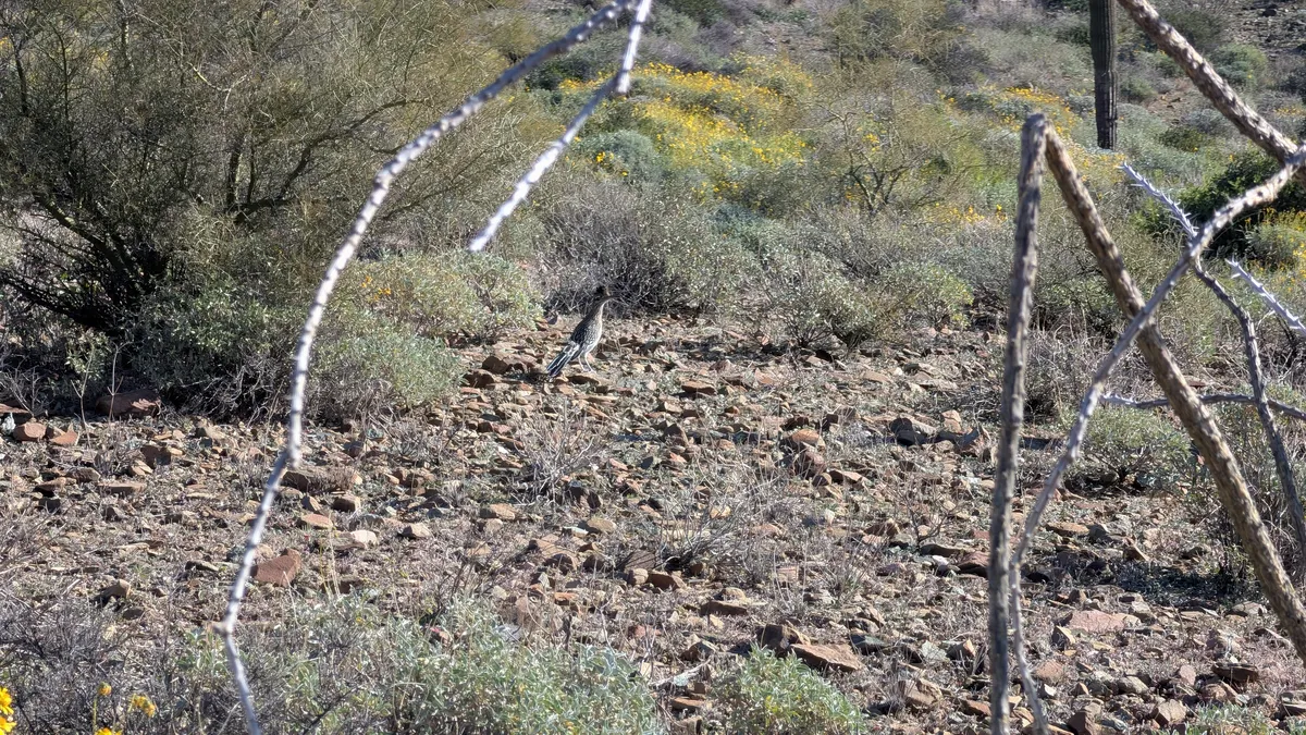 PXL_20260125_172516073