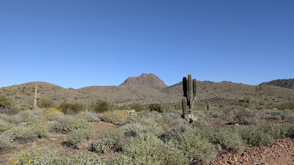 PXL_20260125_172644926