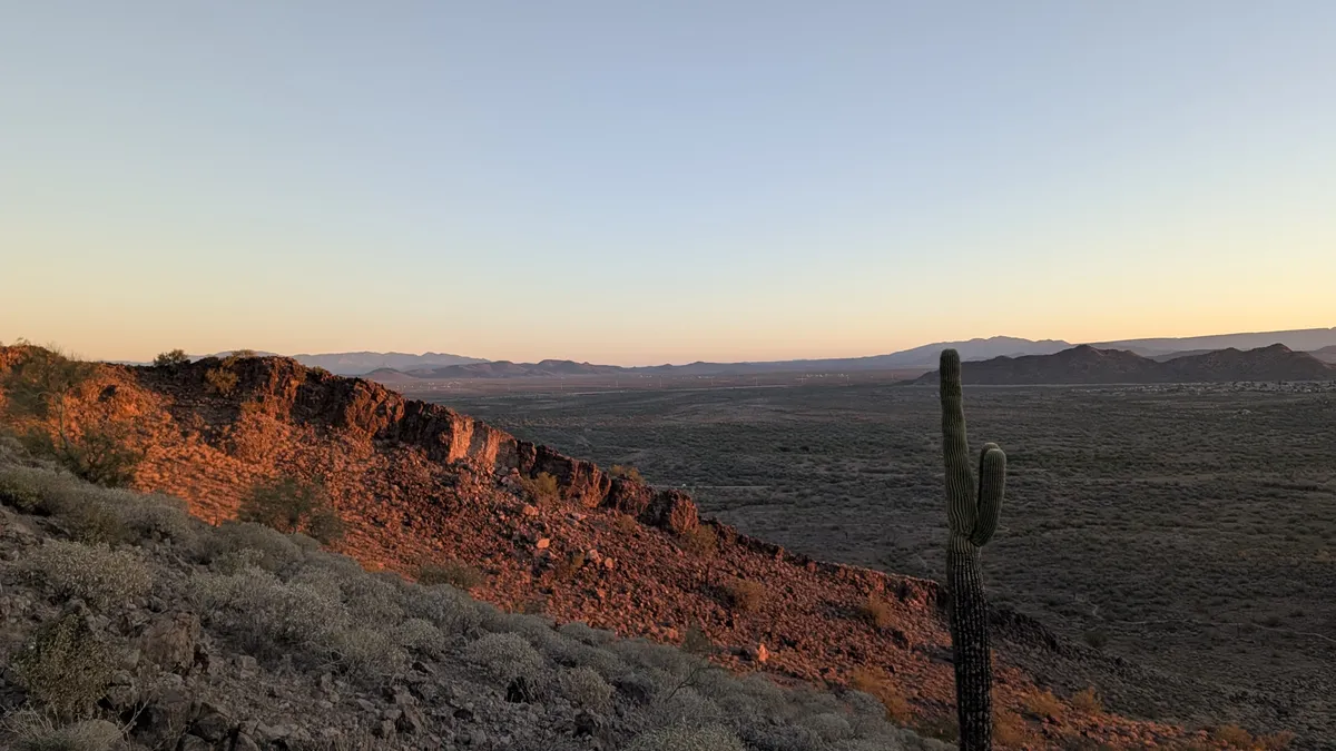 PXL_20260214_142051114