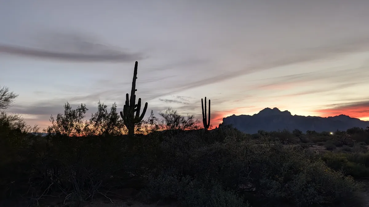 PXL_20260215_135409147