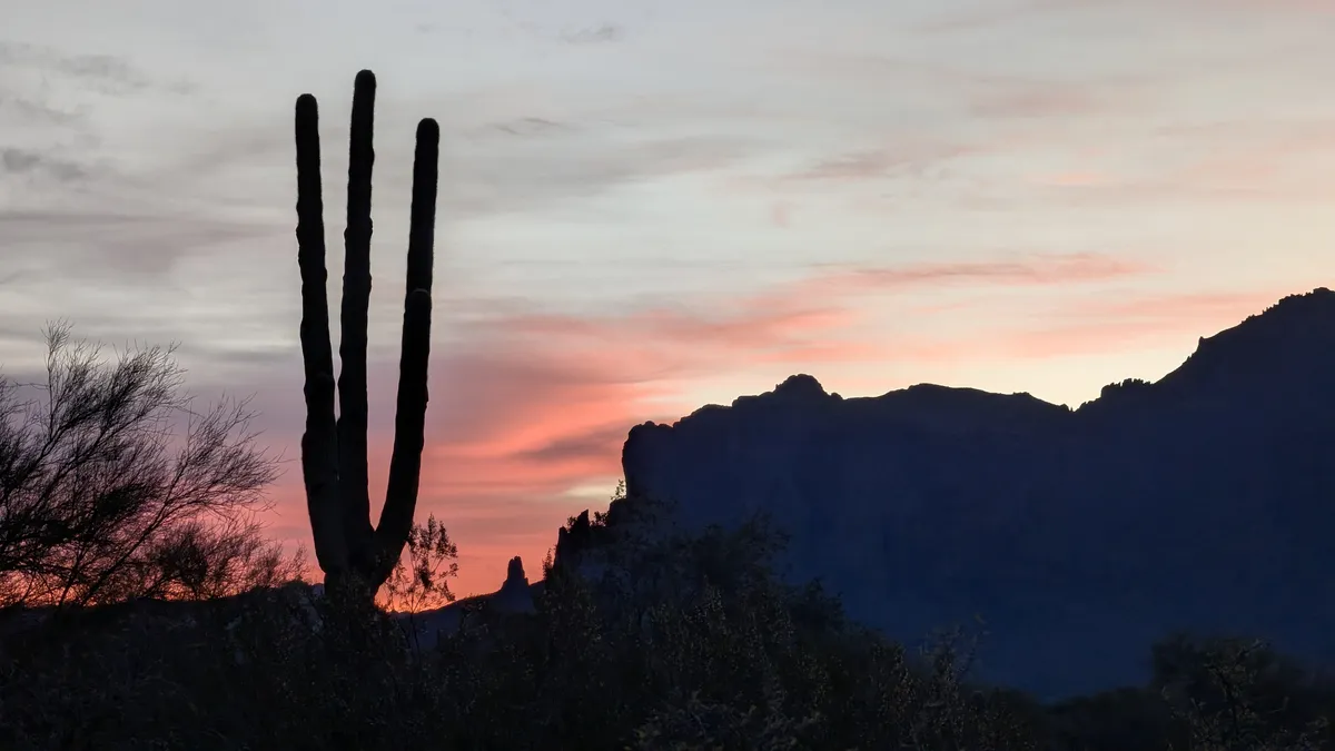 PXL_20260215_135412638