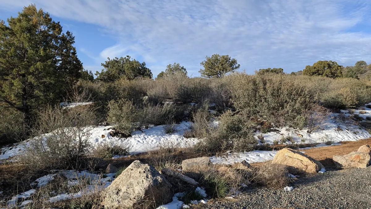 PXL_20260222_150552363