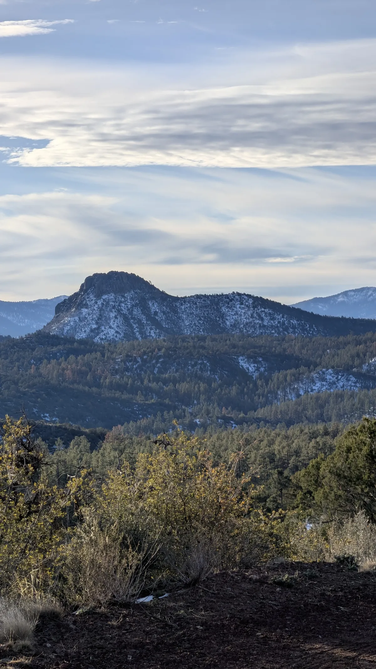 PXL_20260222_150559918