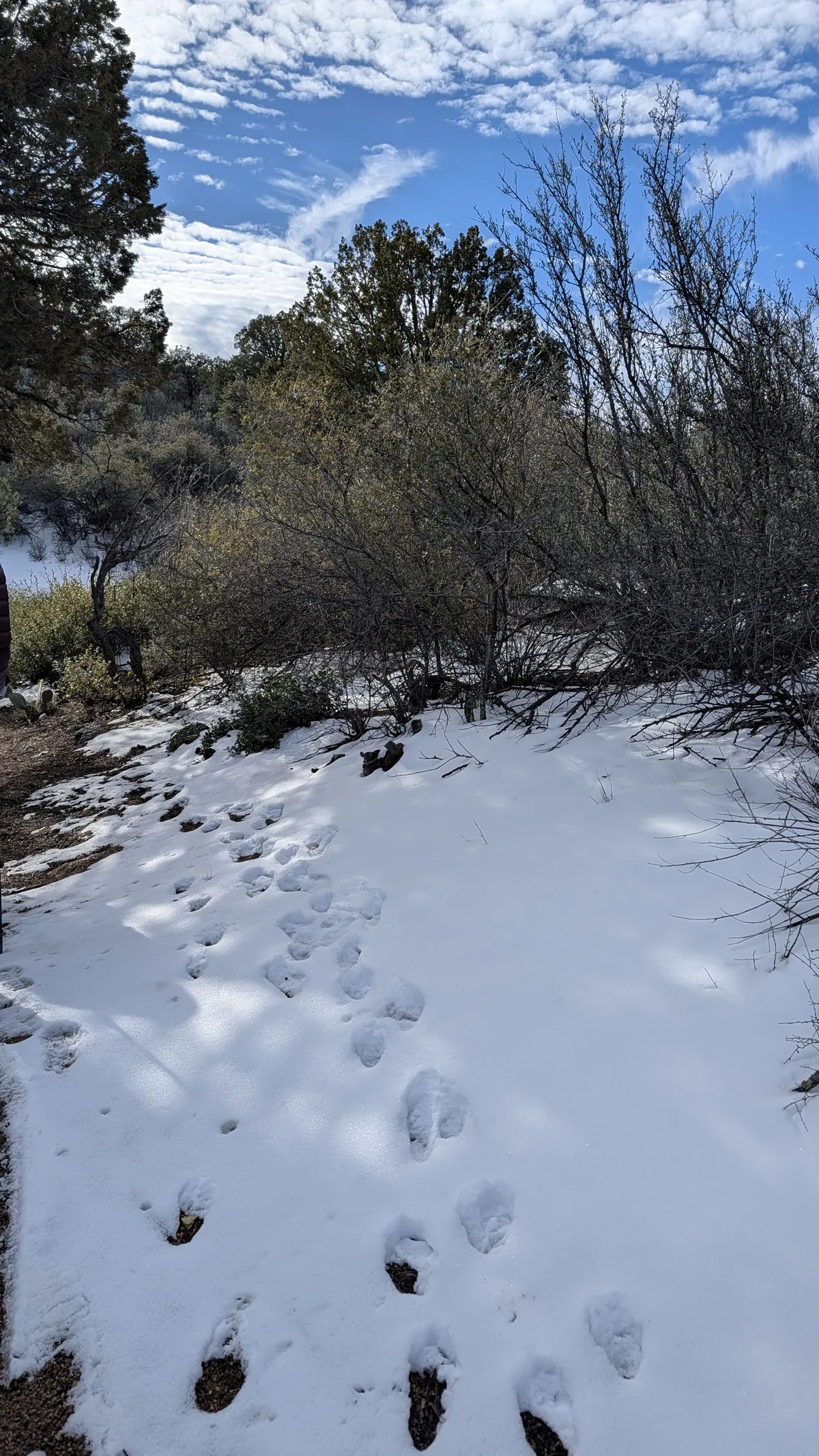 PXL_20260222_160341364