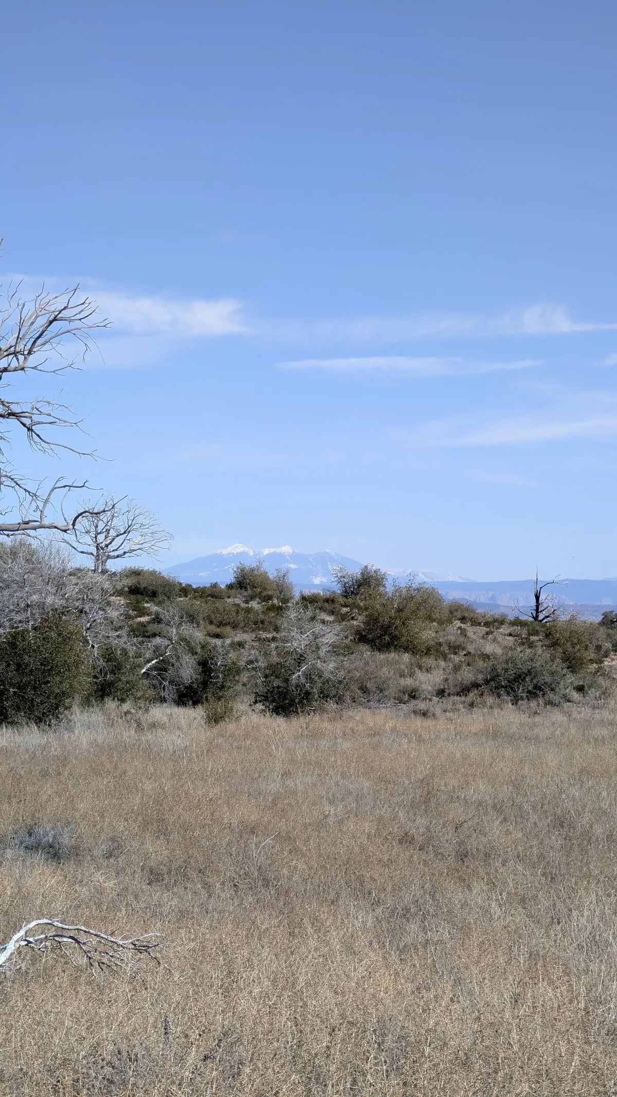 PXL_20260222_184504382