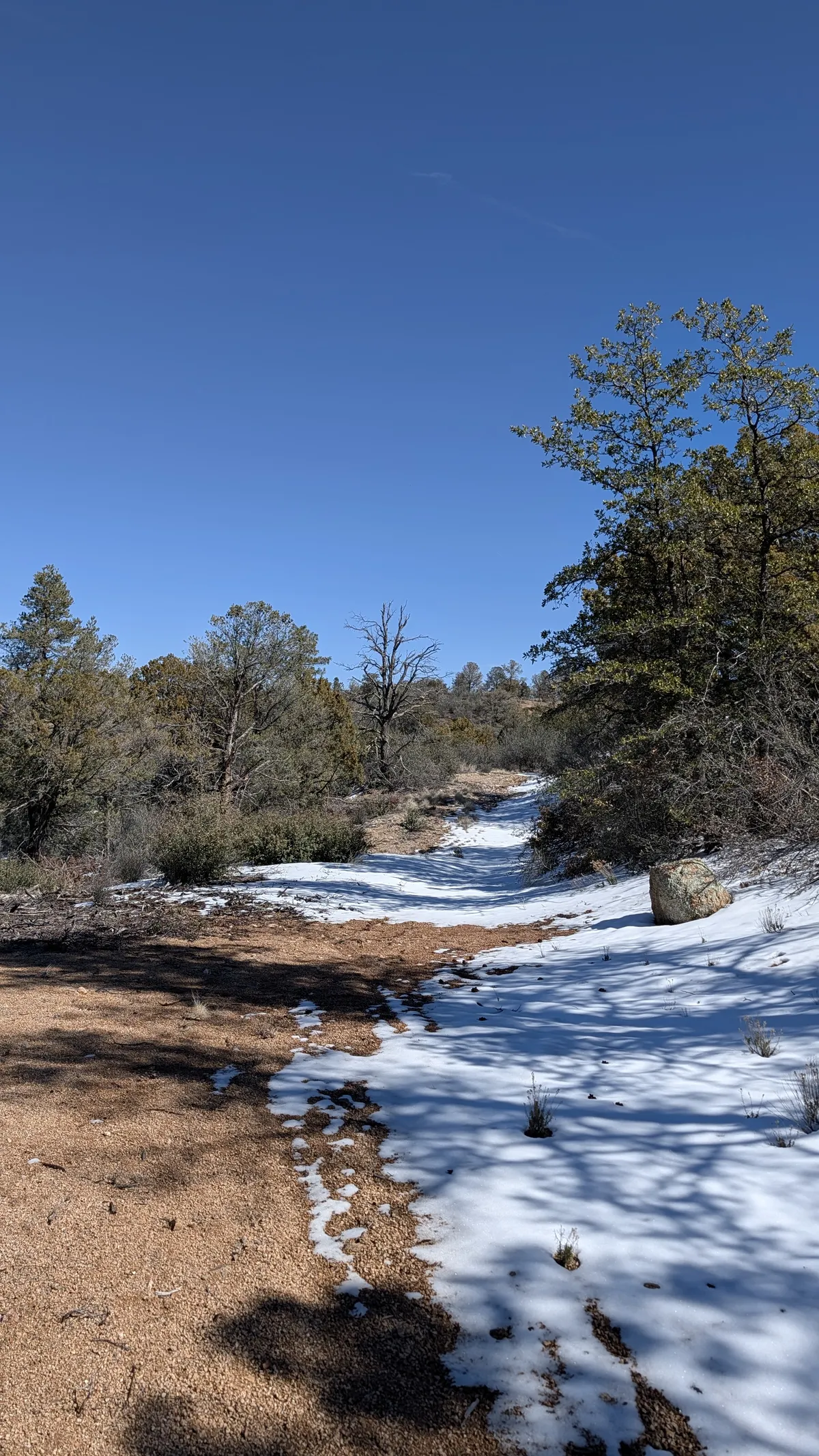 PXL_20260222_195423439