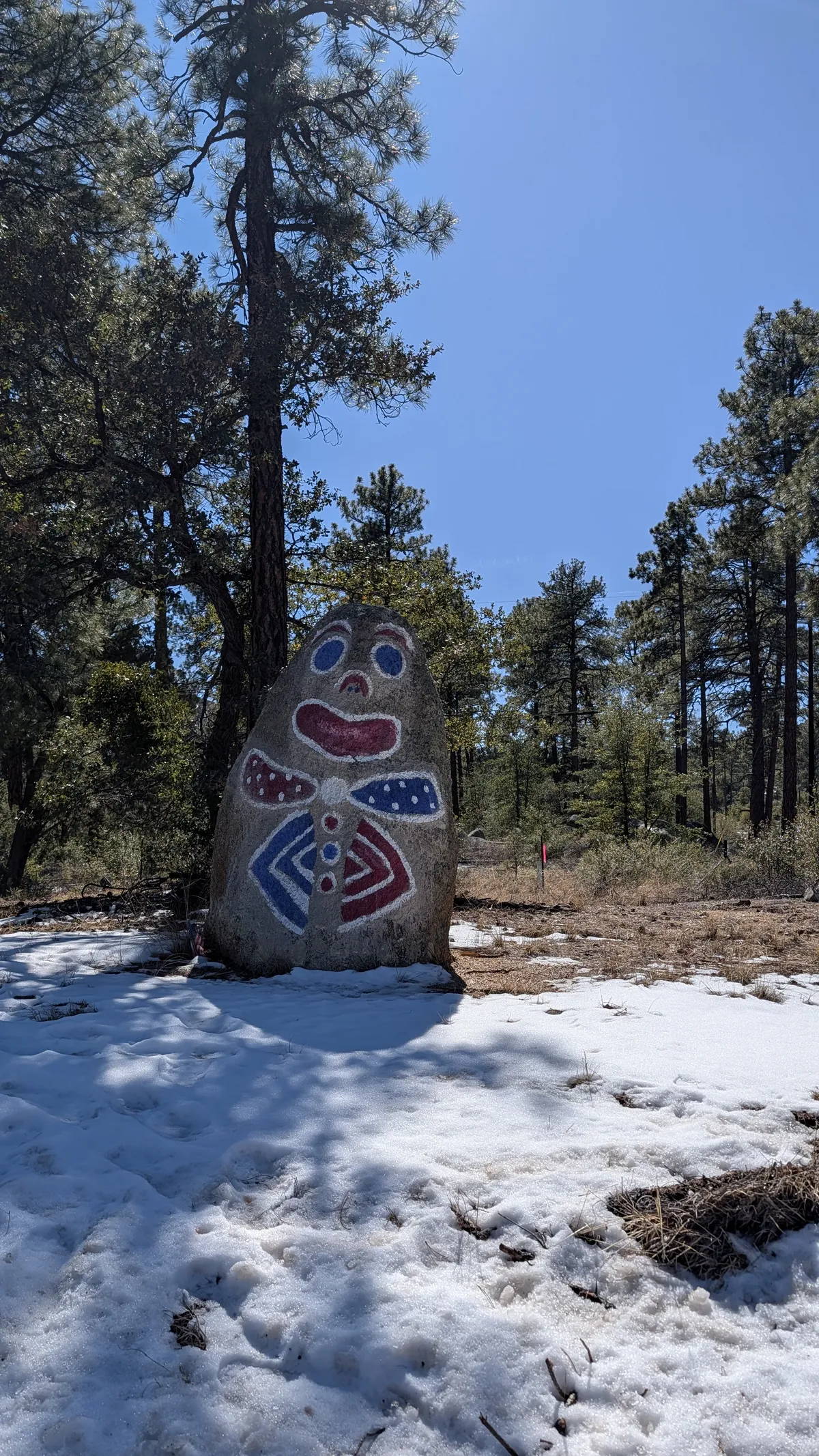 PXL_20260222_203432379