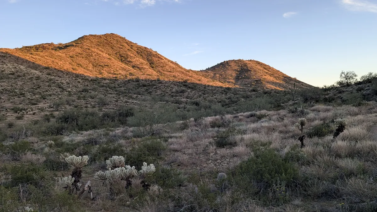 PXL_20260226_010855998