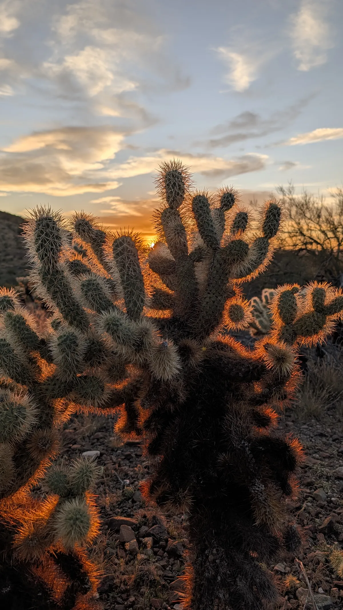 PXL_20260226_011617994