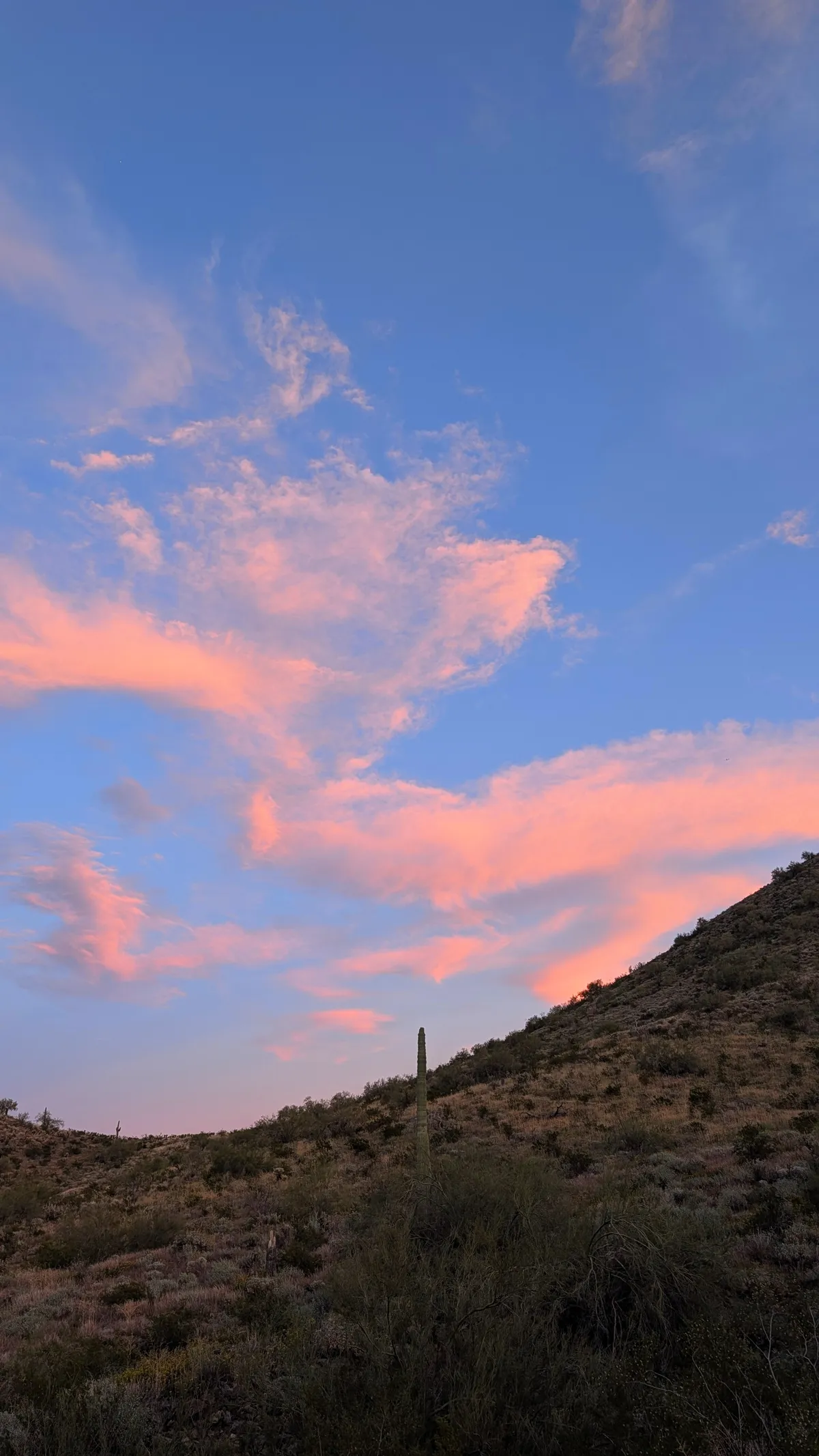 PXL_20260226_012922399~2