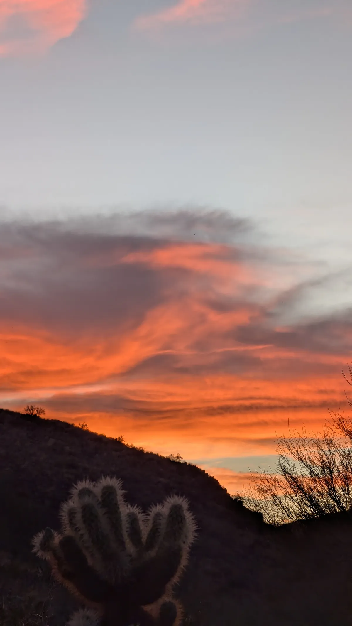 PXL_20260226_013451788