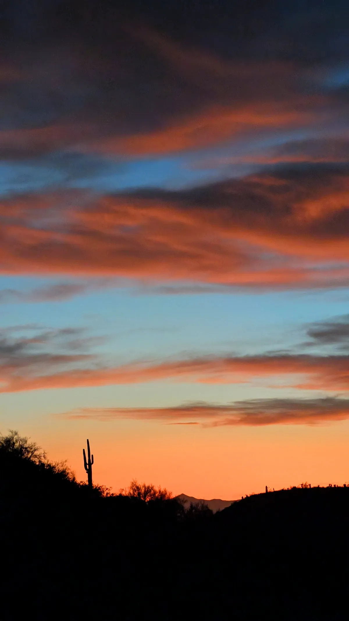 PXL_20260226_015936184~2