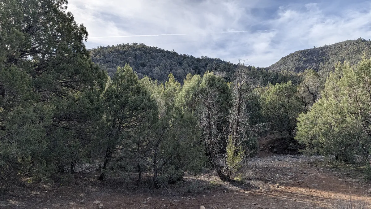 PXL_20260228_155631919