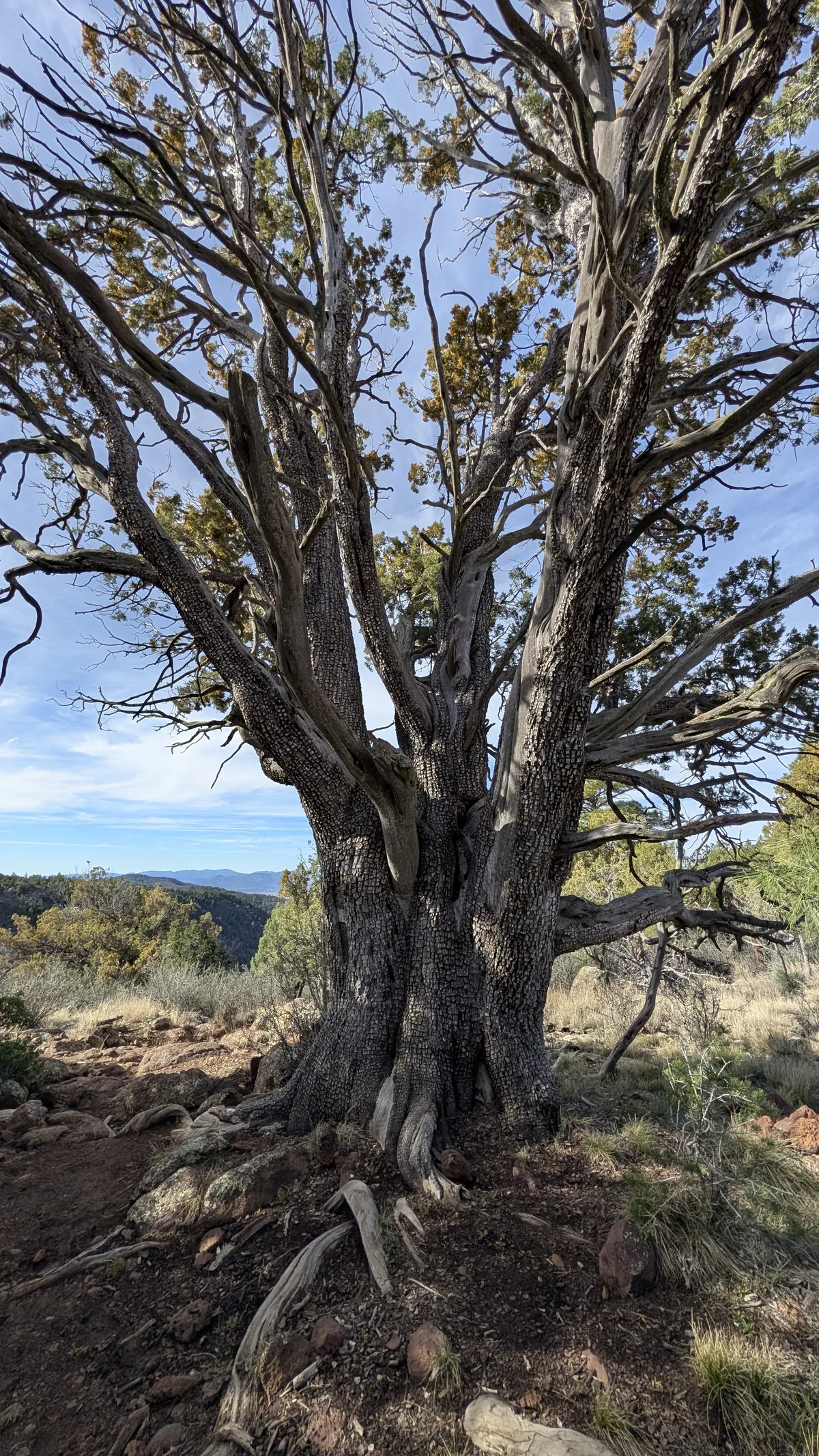 PXL_20260228_164552970