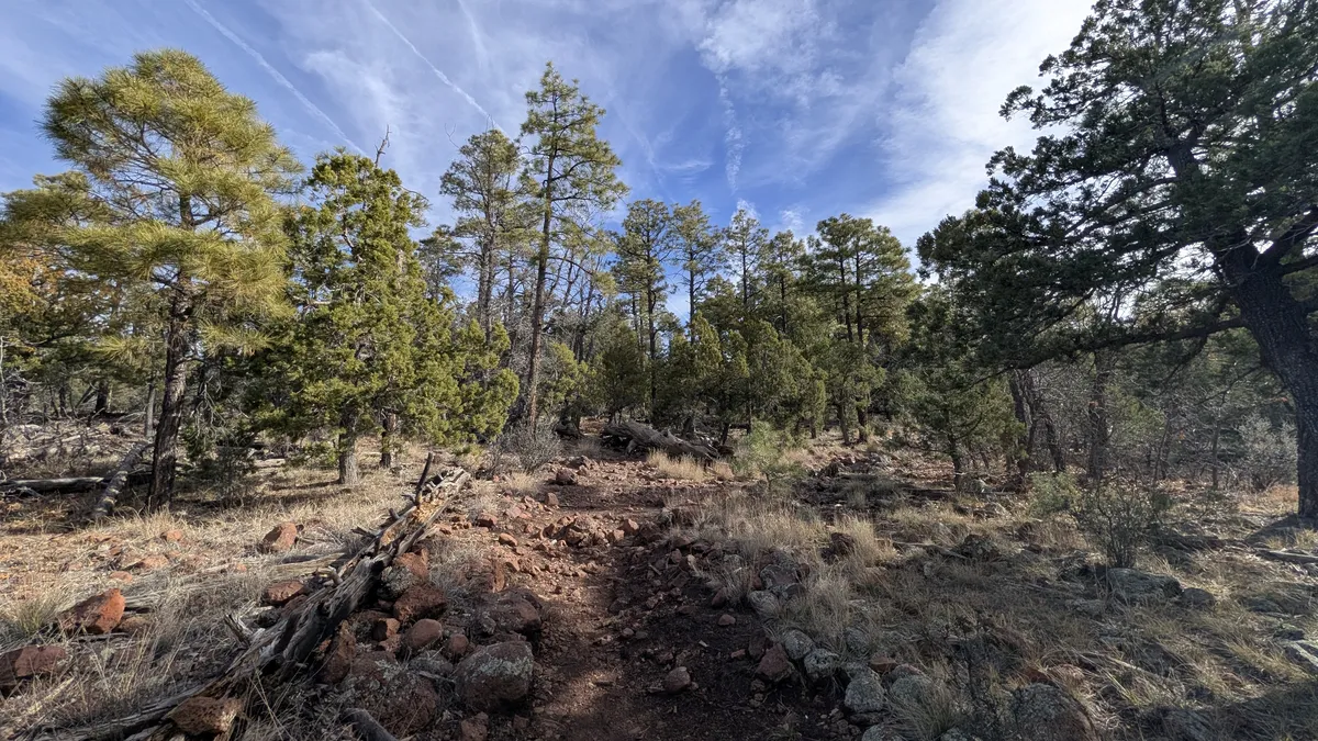 PXL_20260228_164556606