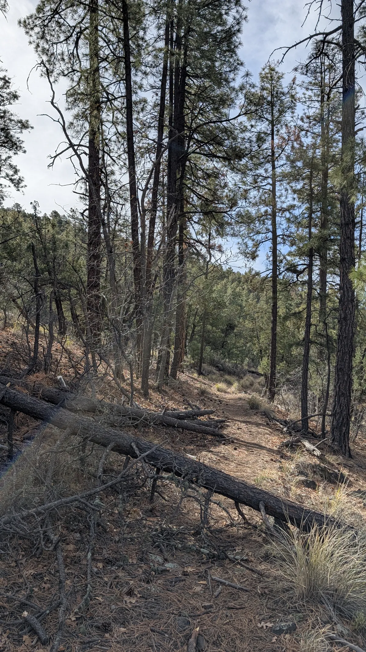 PXL_20260228_170414062