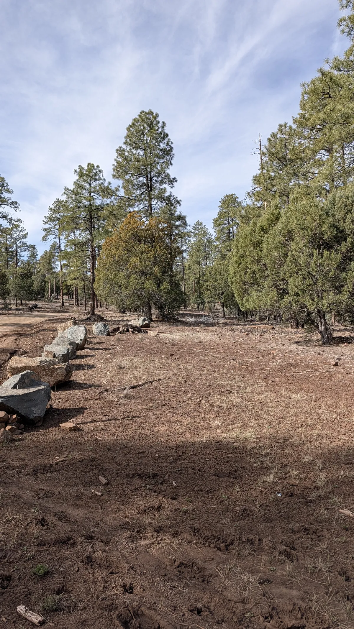 PXL_20260228_172628368