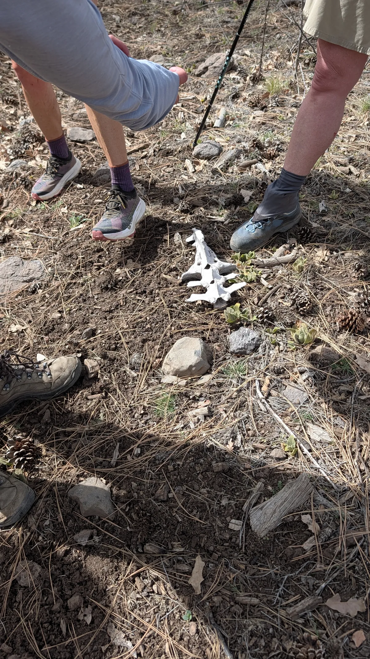 PXL_20260228_181924523