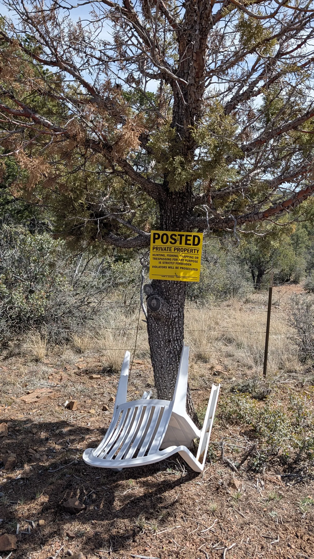 PXL_20260228_191237472