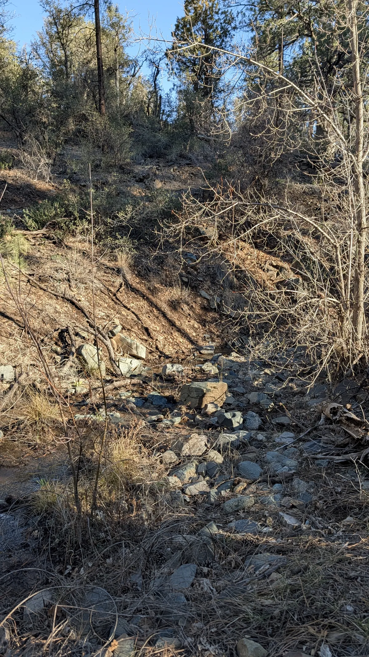 PXL_20260301_153658083