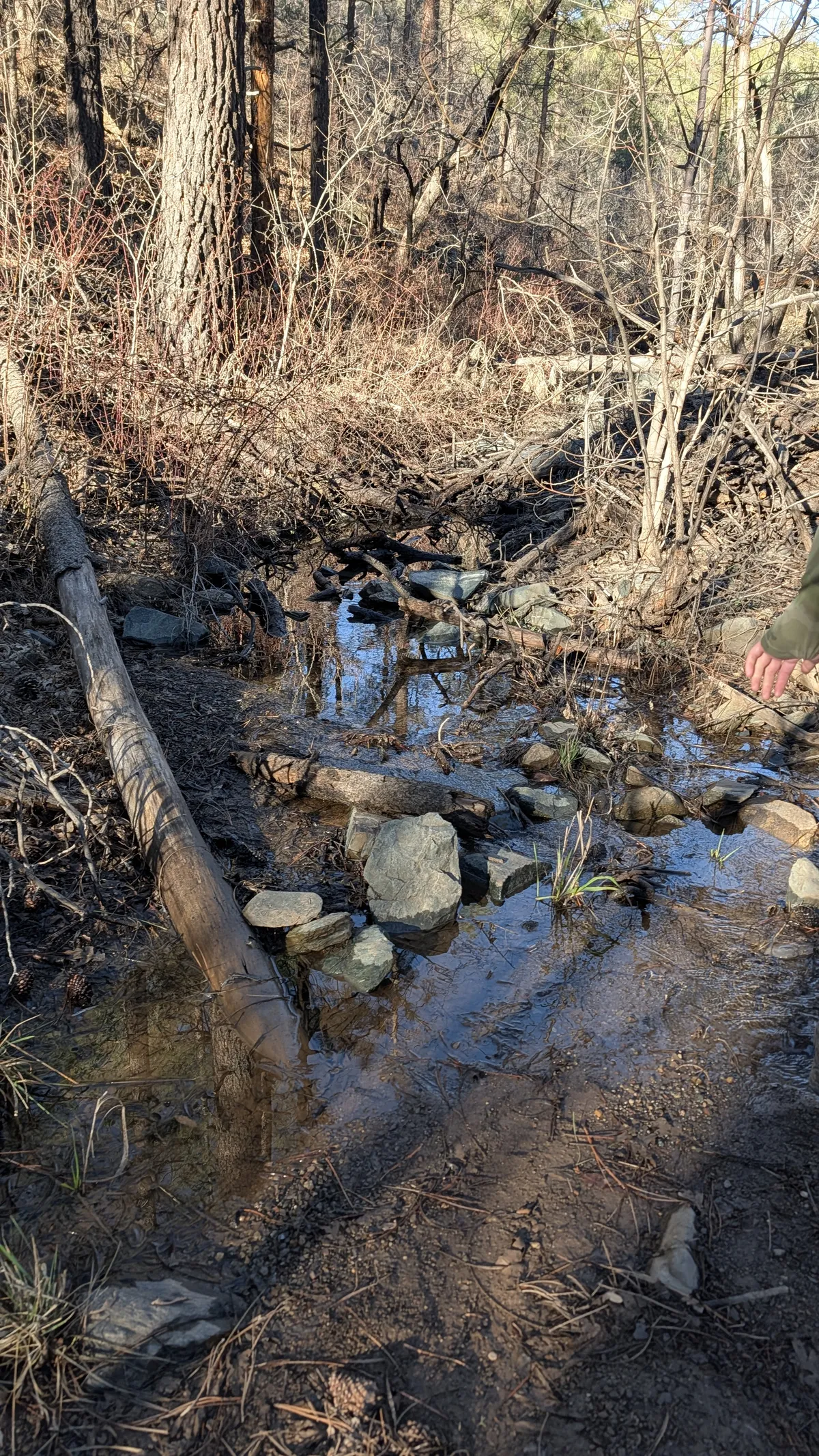 PXL_20260301_153700379