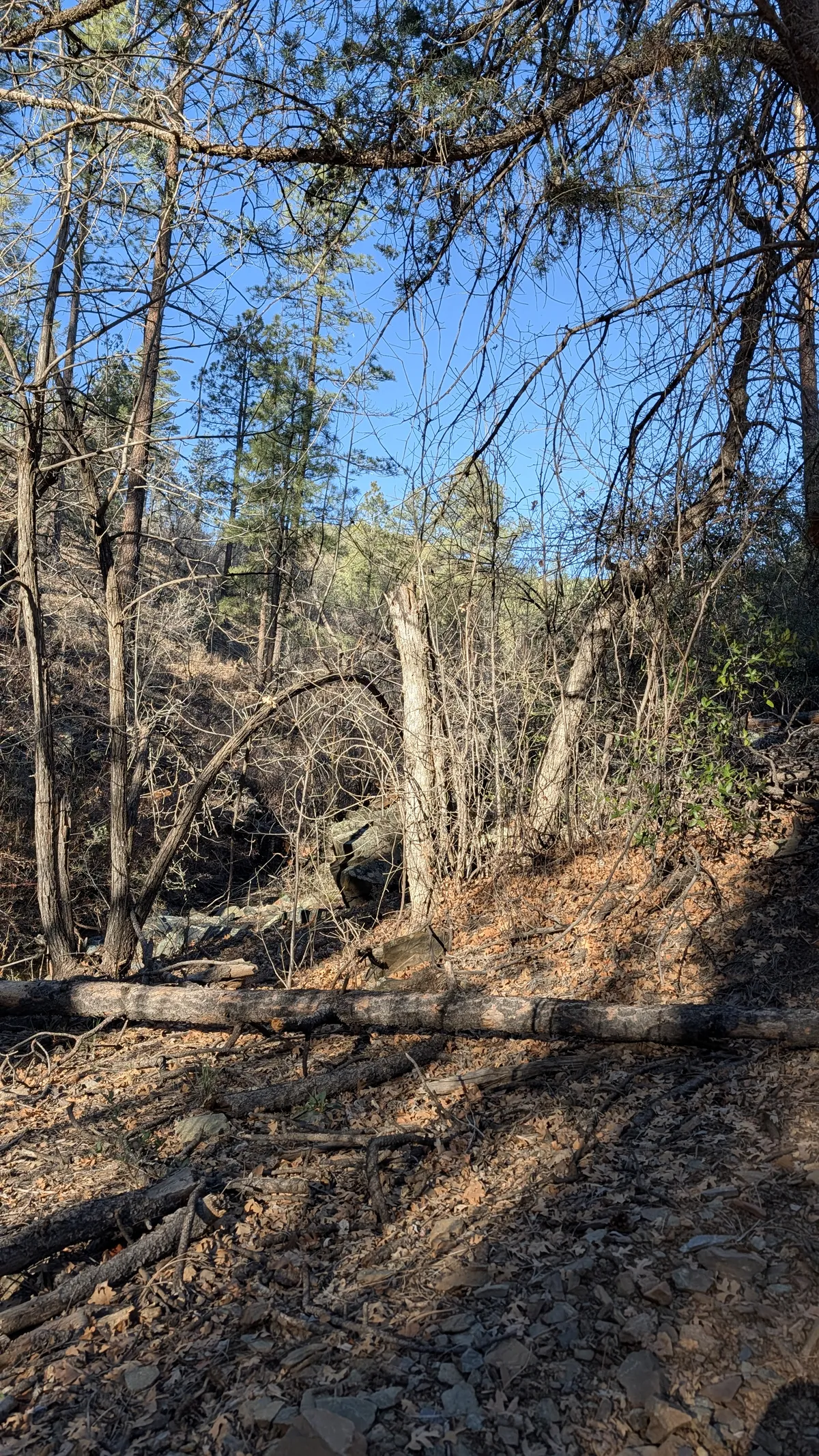 PXL_20260301_153706681