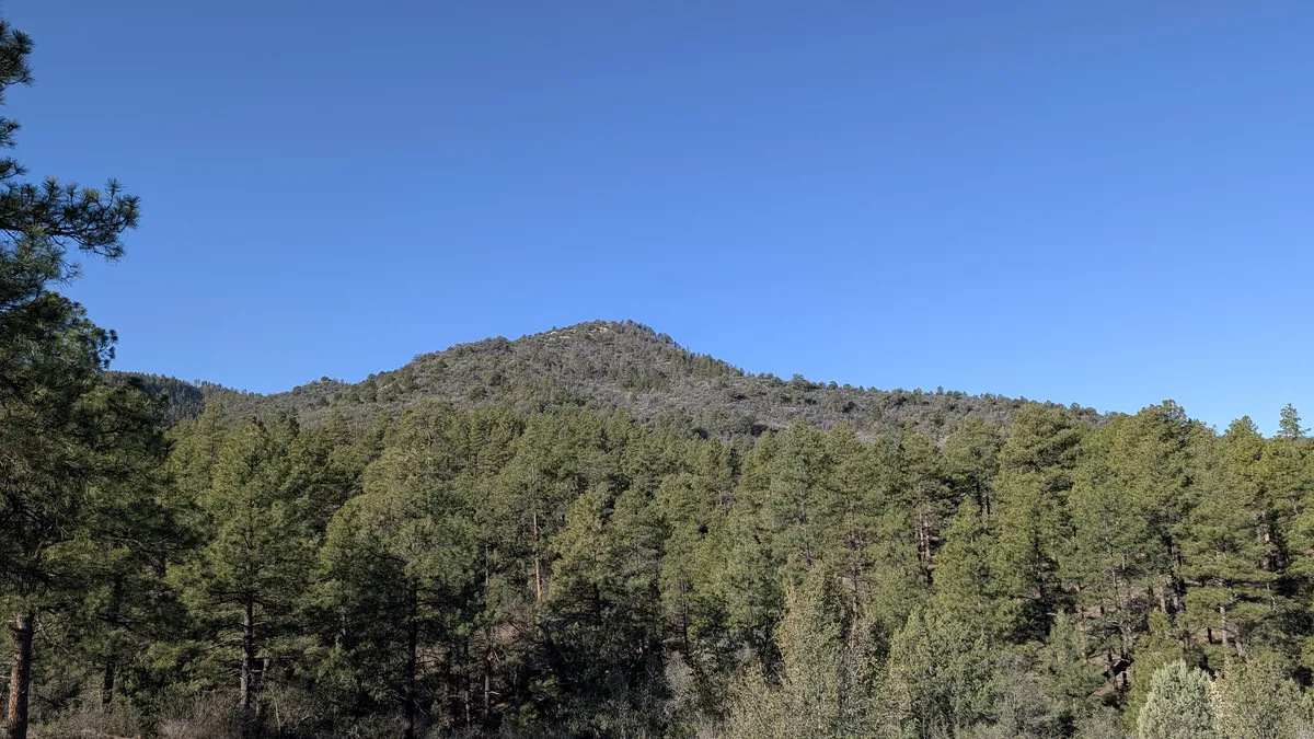 PXL_20260301_155639109