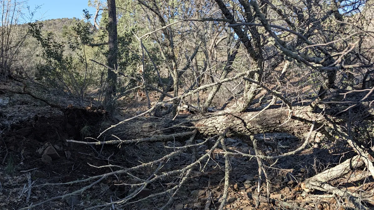 PXL_20260301_161134204