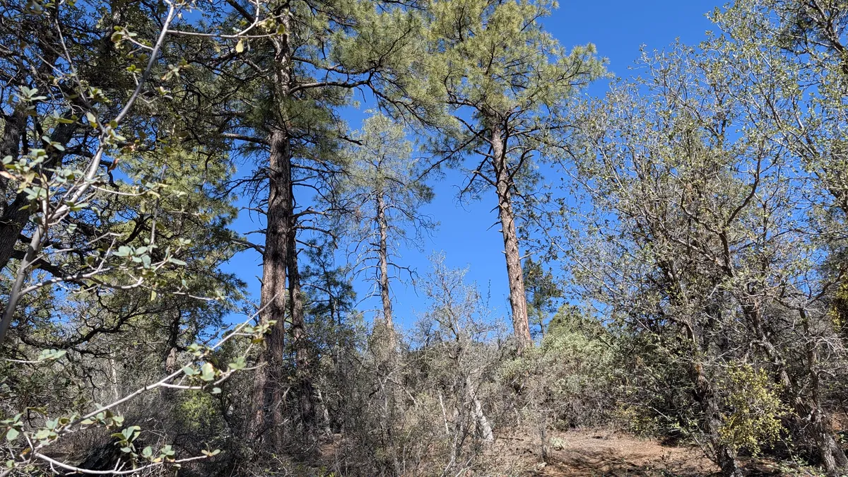 PXL_20260301_171152636