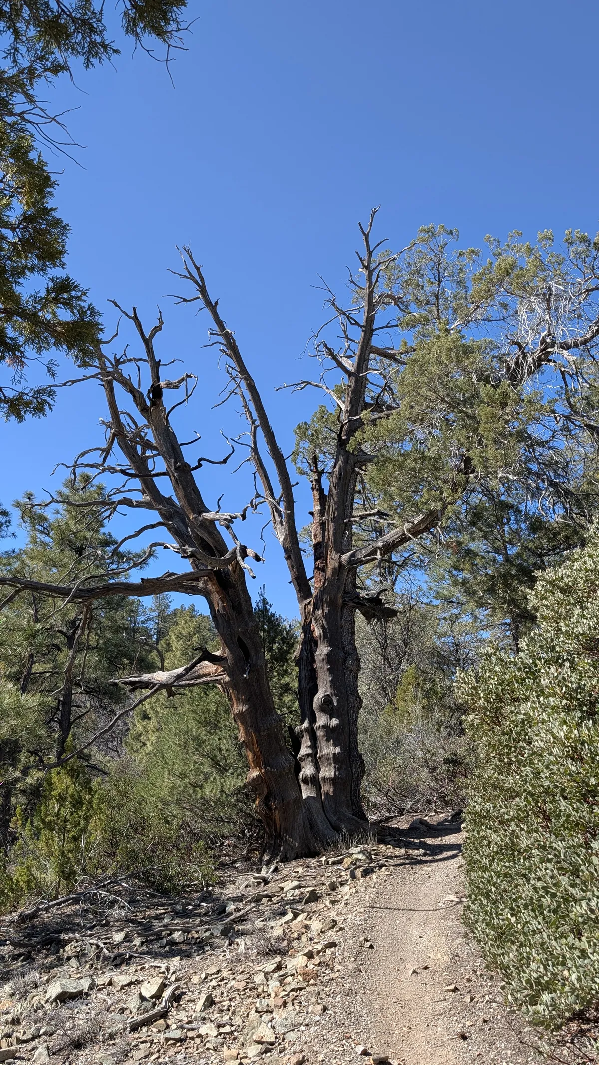 PXL_20260301_174245890