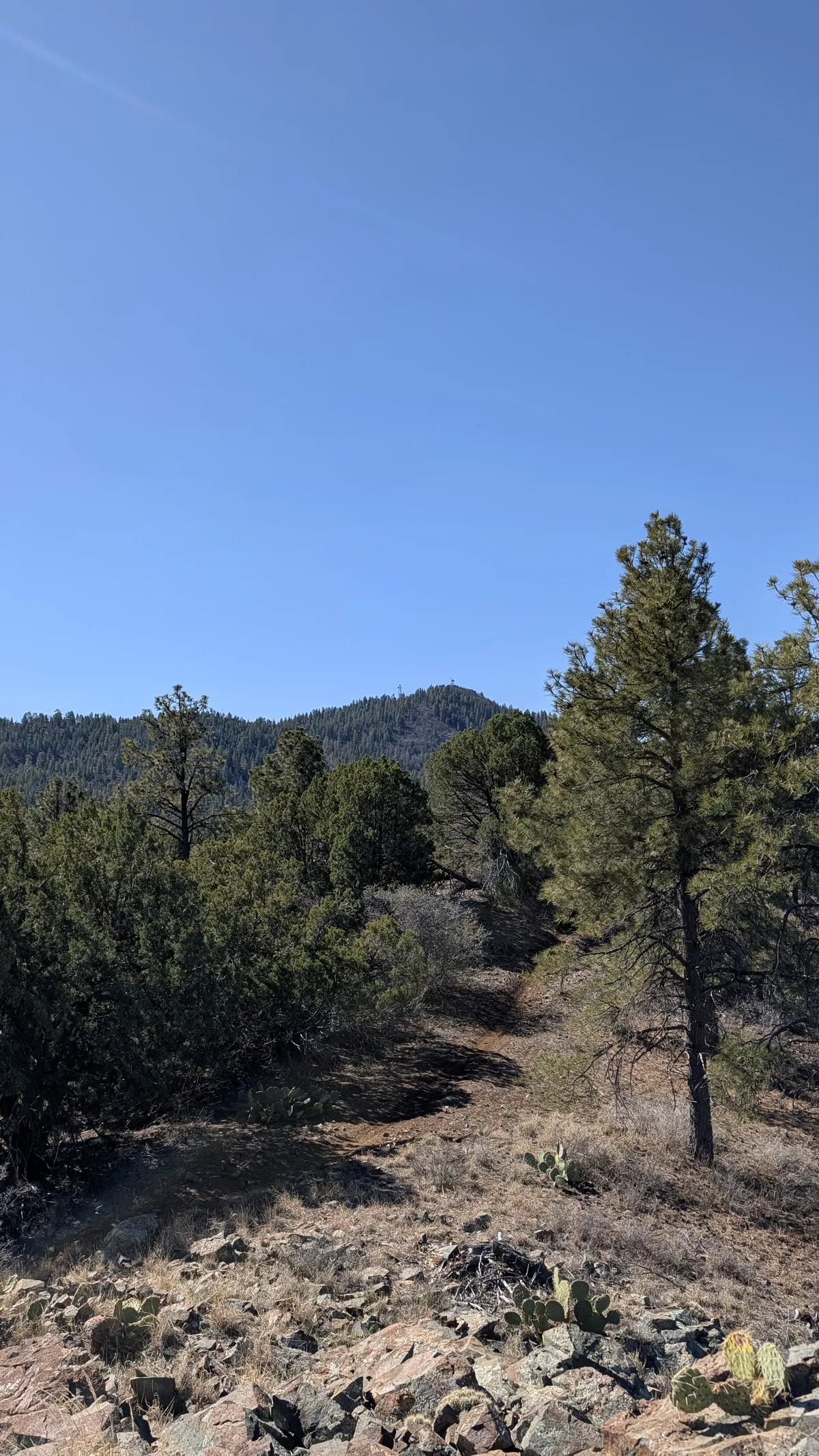 PXL_20260301_175124714