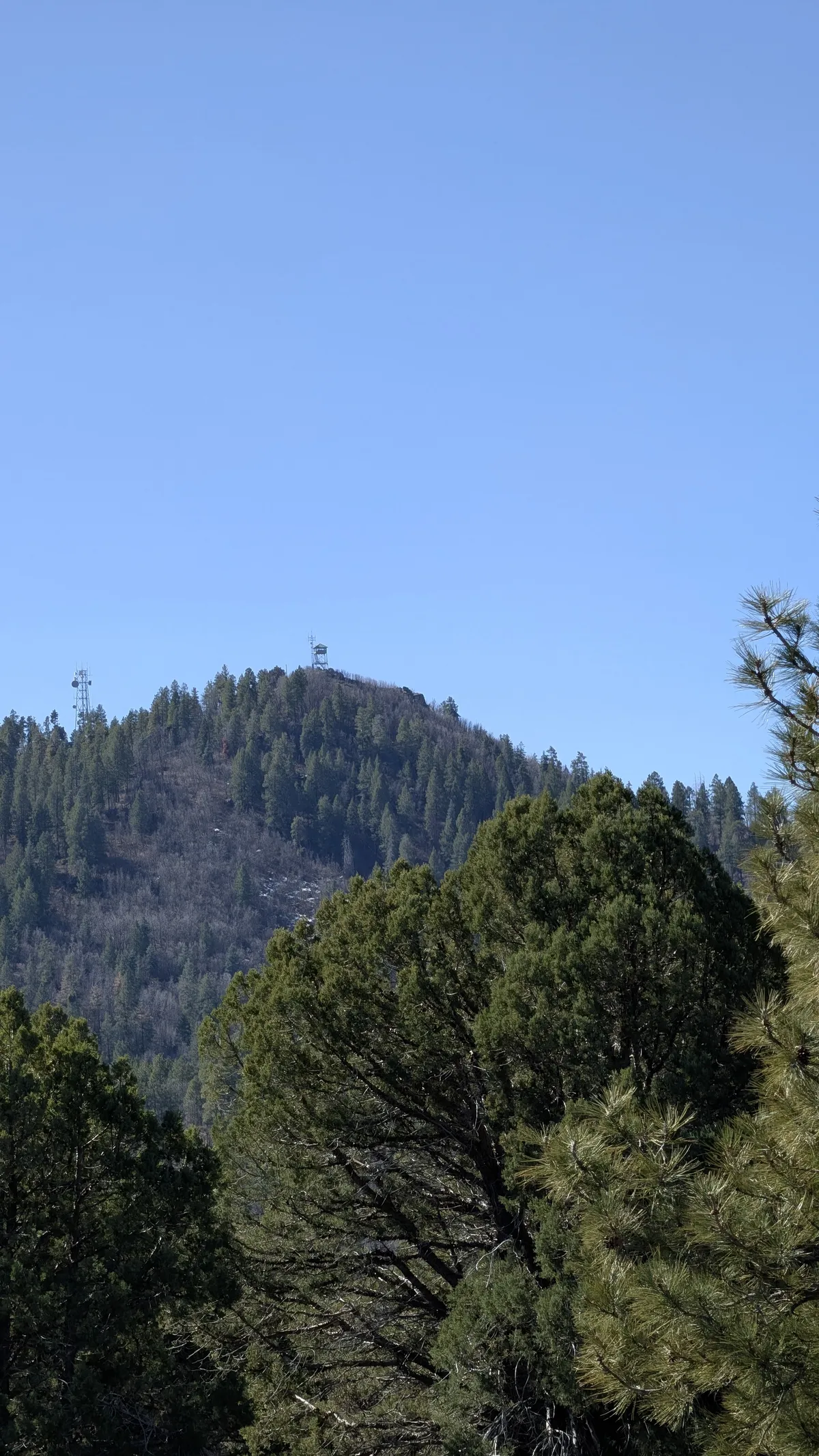 PXL_20260301_175128130