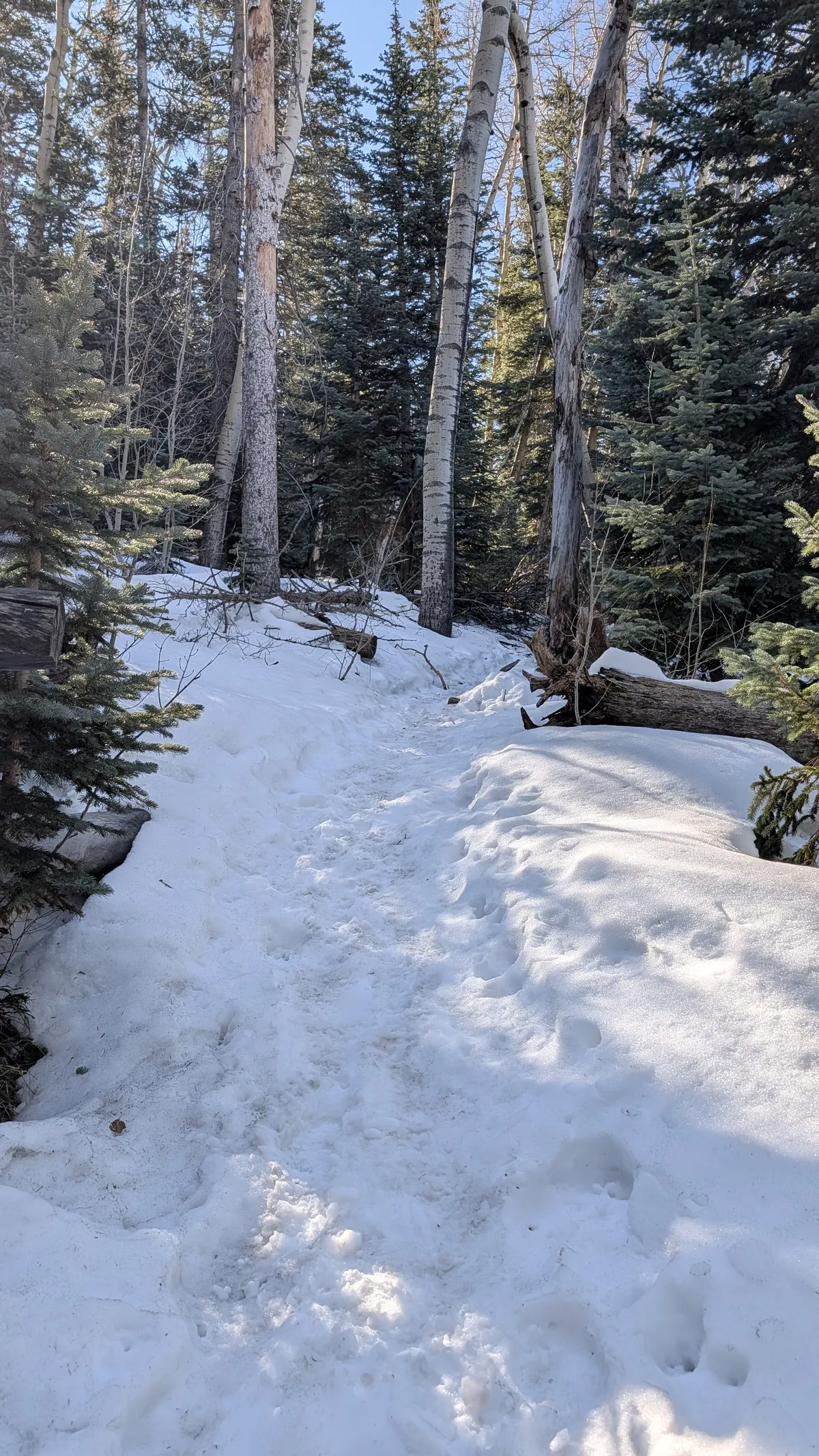 PXL_20260303_163341598