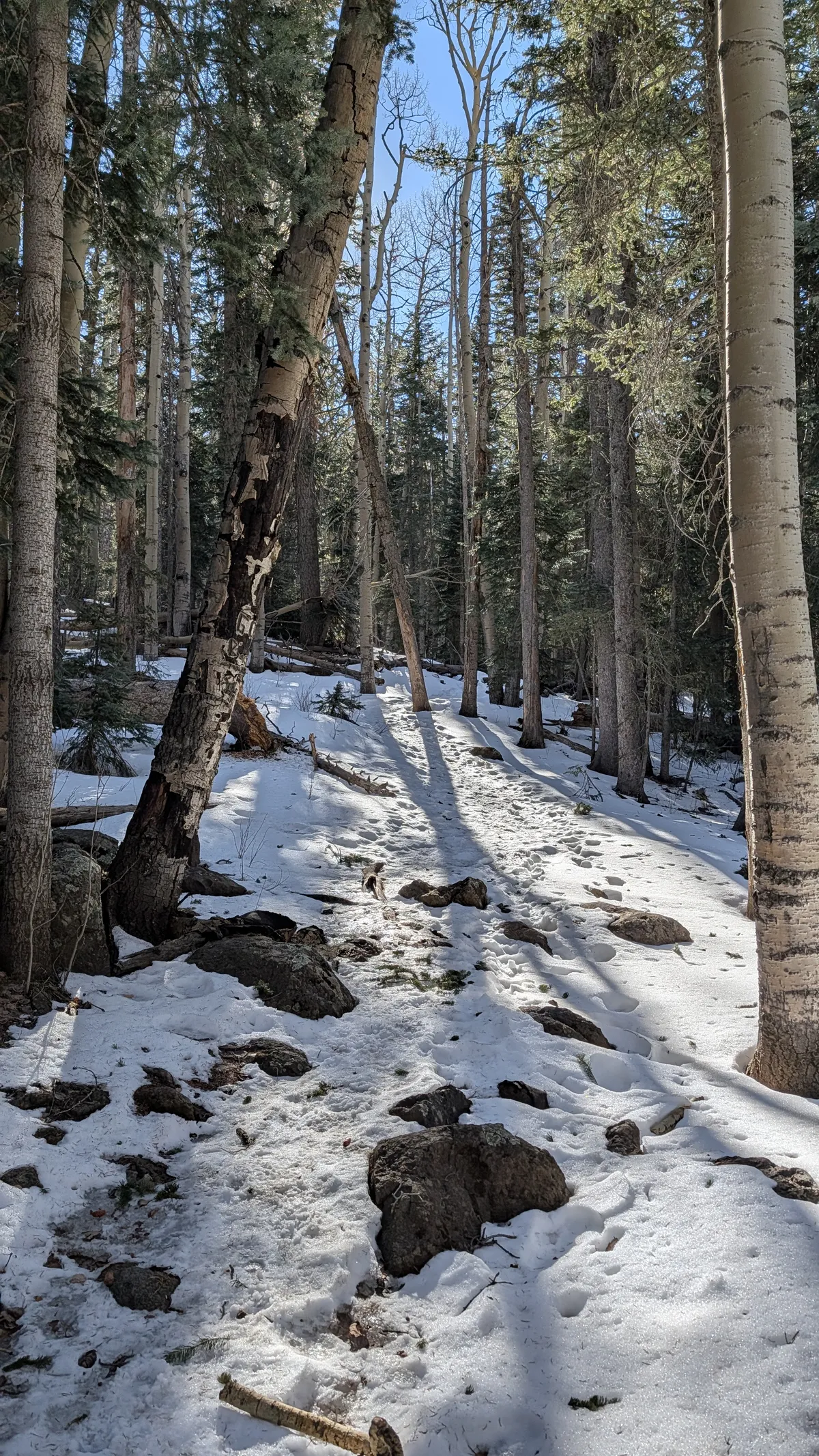 PXL_20260303_163708866