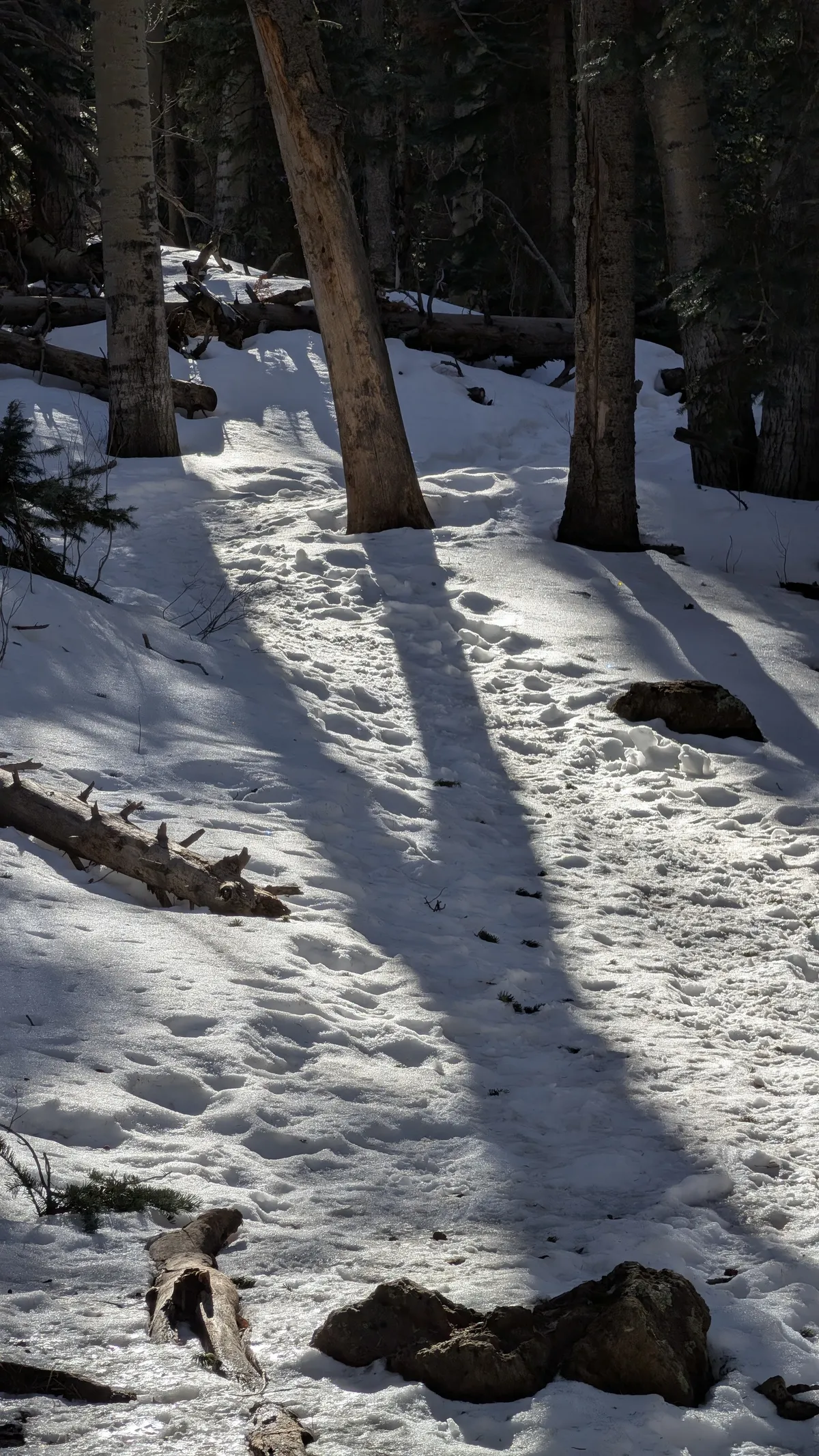 PXL_20260303_163712793