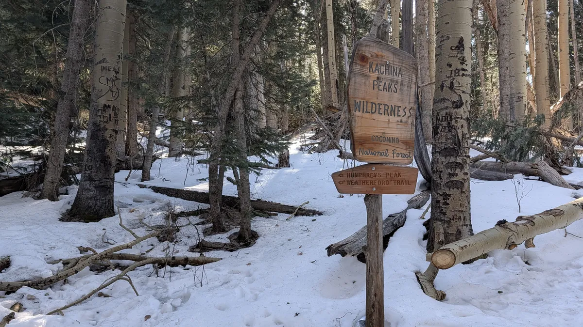 PXL_20260303_164331854