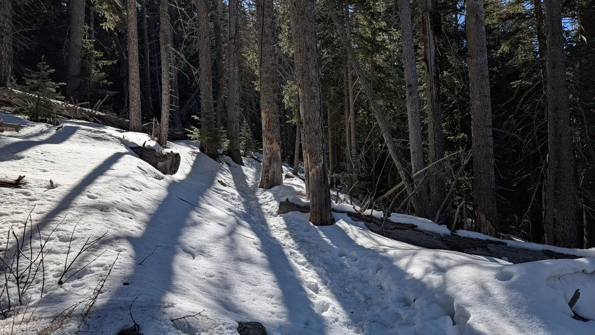 PXL_20260303_172111886