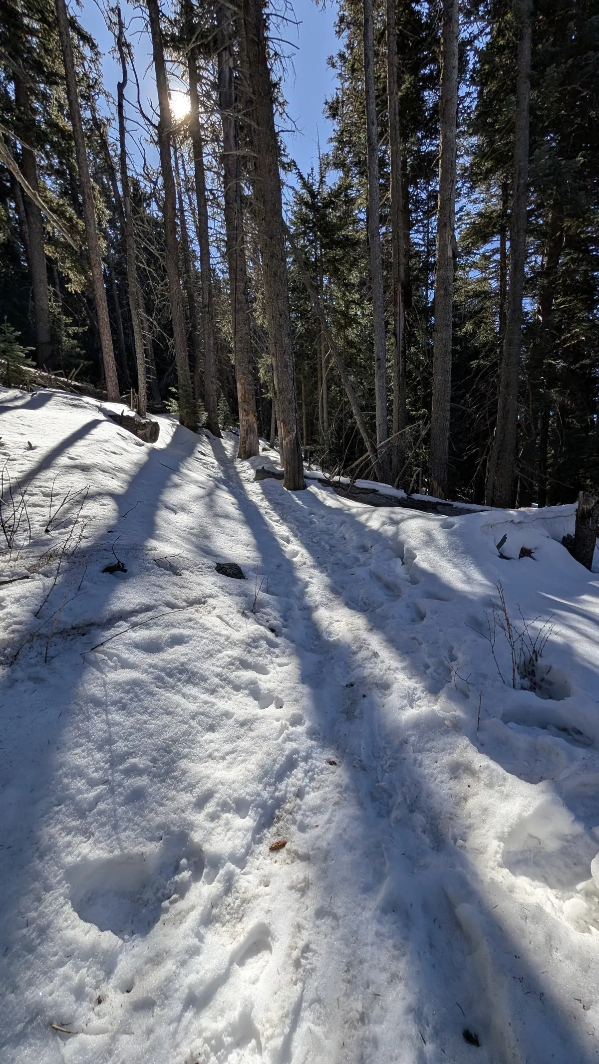 PXL_20260303_172115414