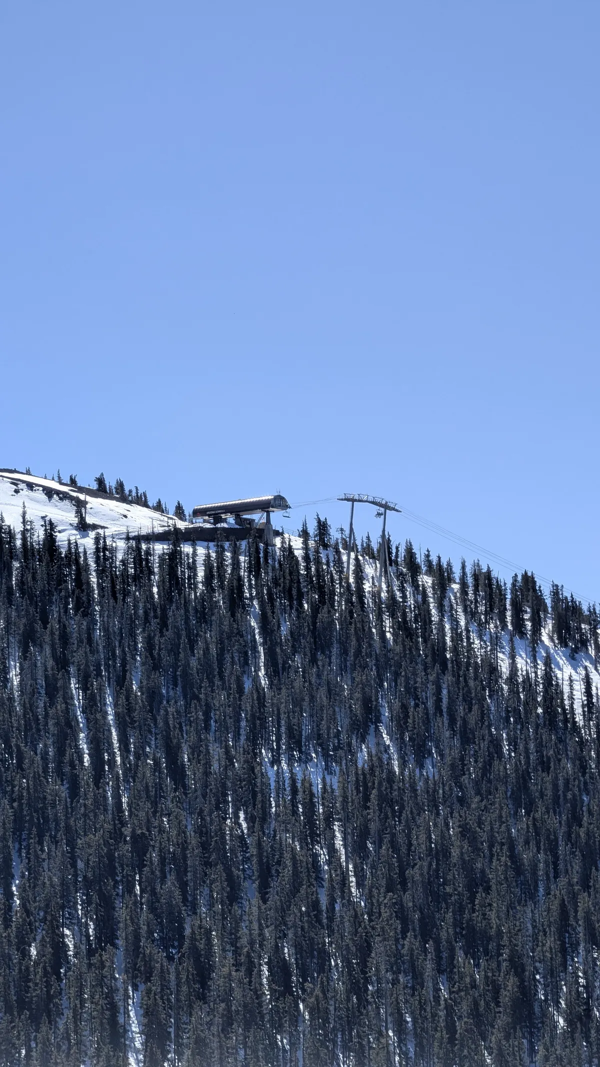 PXL_20260303_182429972