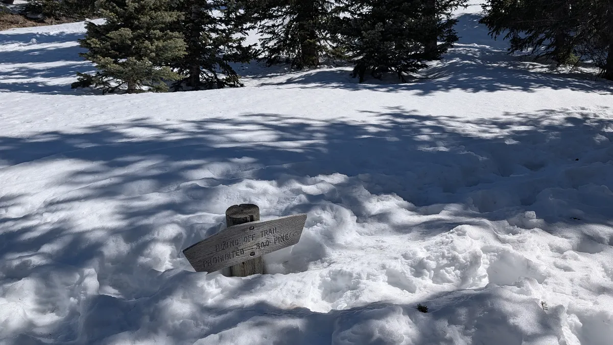 PXL_20260303_184519320