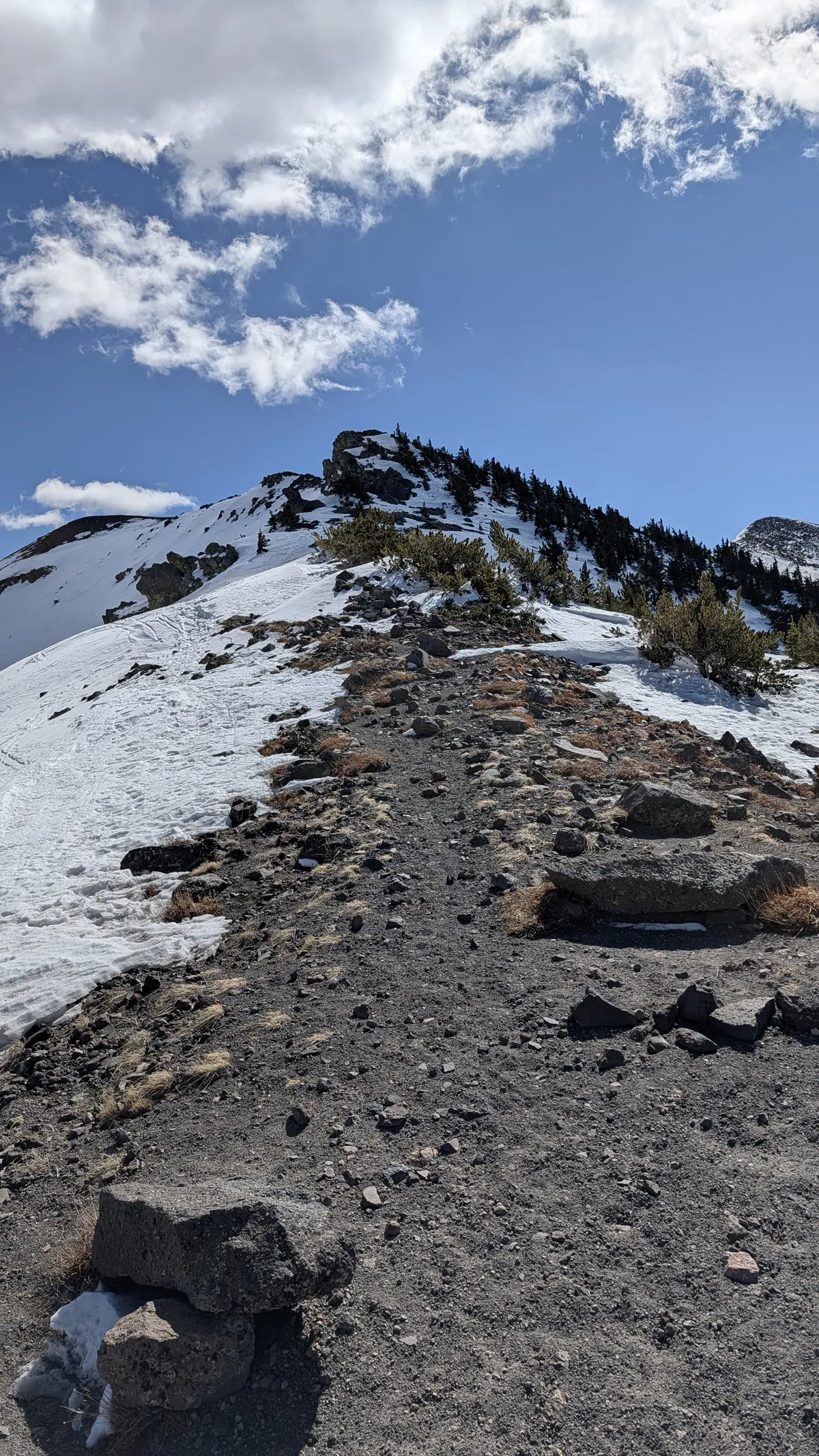 PXL_20260303_190957960