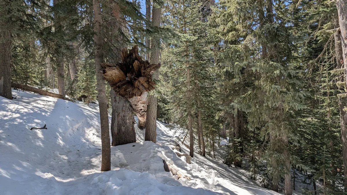 PXL_20260303_204509589