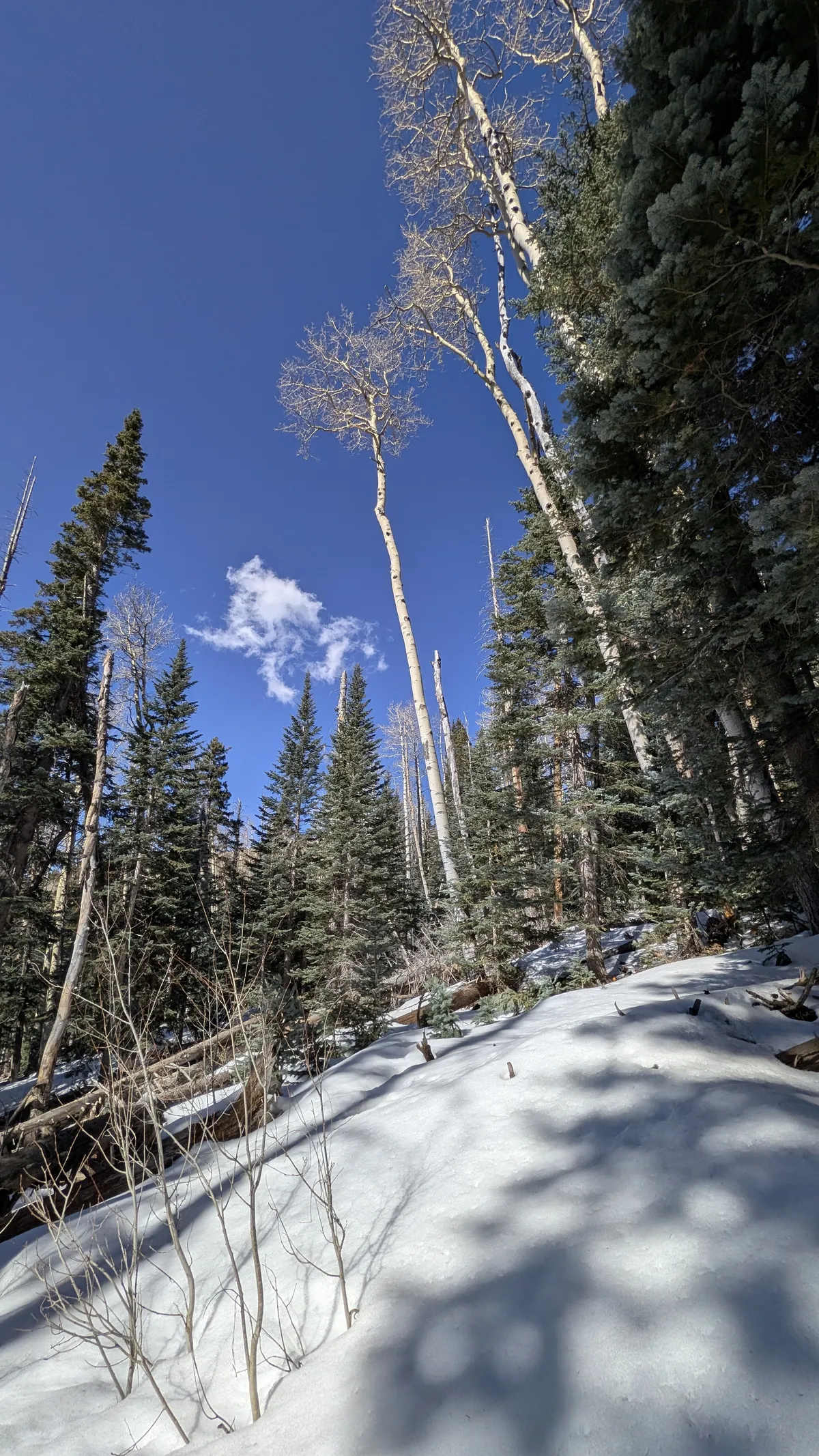 PXL_20260303_212703847