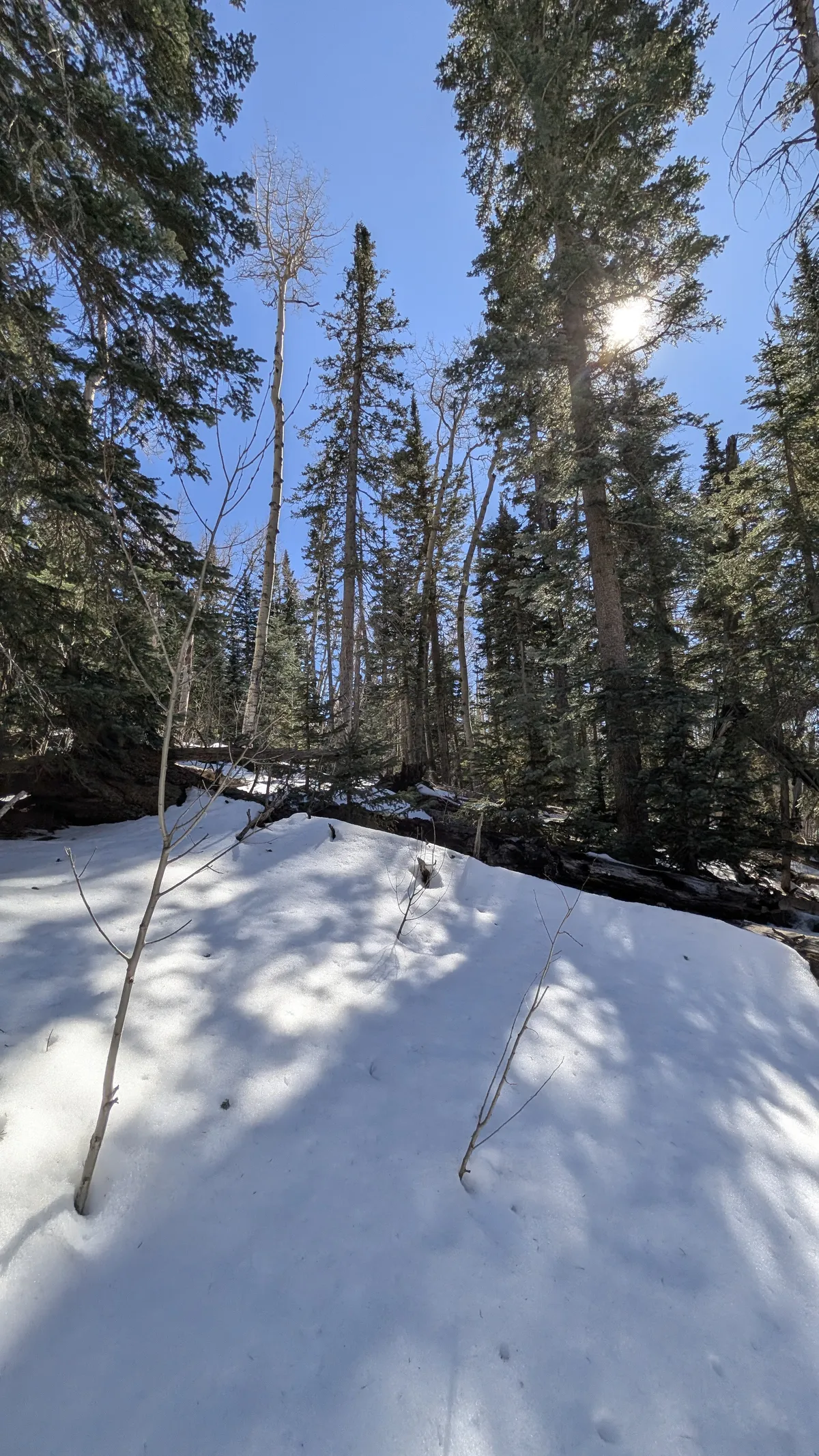 PXL_20260303_212707005