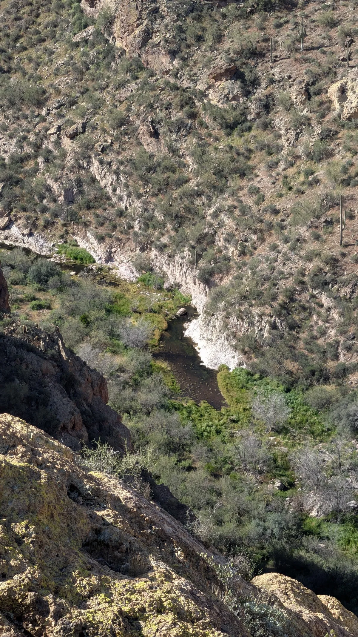 PXL_20260307_165511234